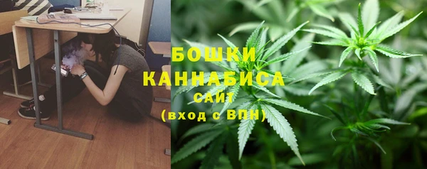 индика Вязьма