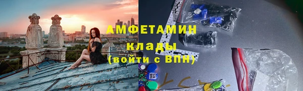 индика Вязьма