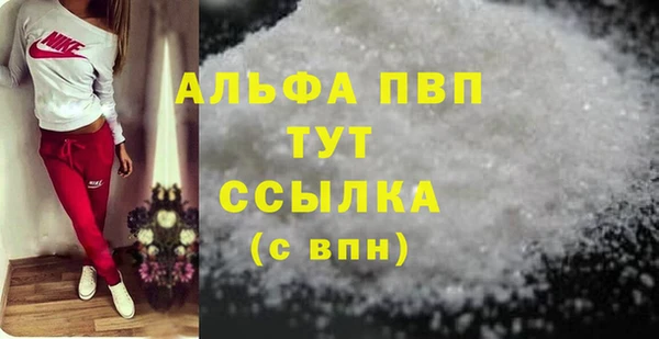 индика Вязьма