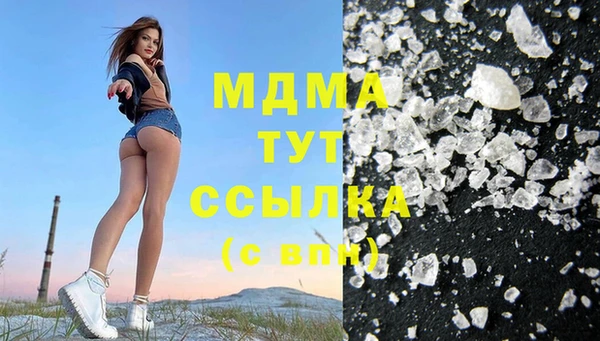 индика Вязьма