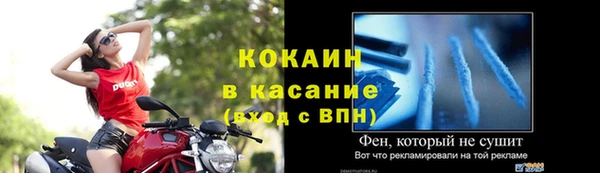 индика Вязьма