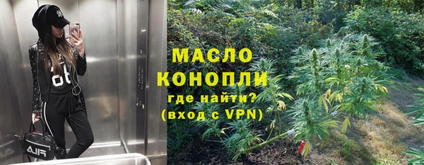 индика Вязьма