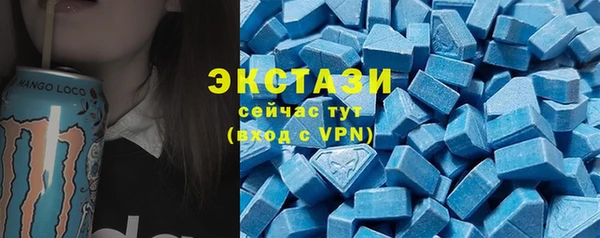 индика Вязьма