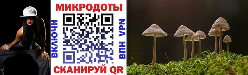 Псилоцибиновые грибы GOLDEN TEACHER  купить наркотики сайты  Мценск 
